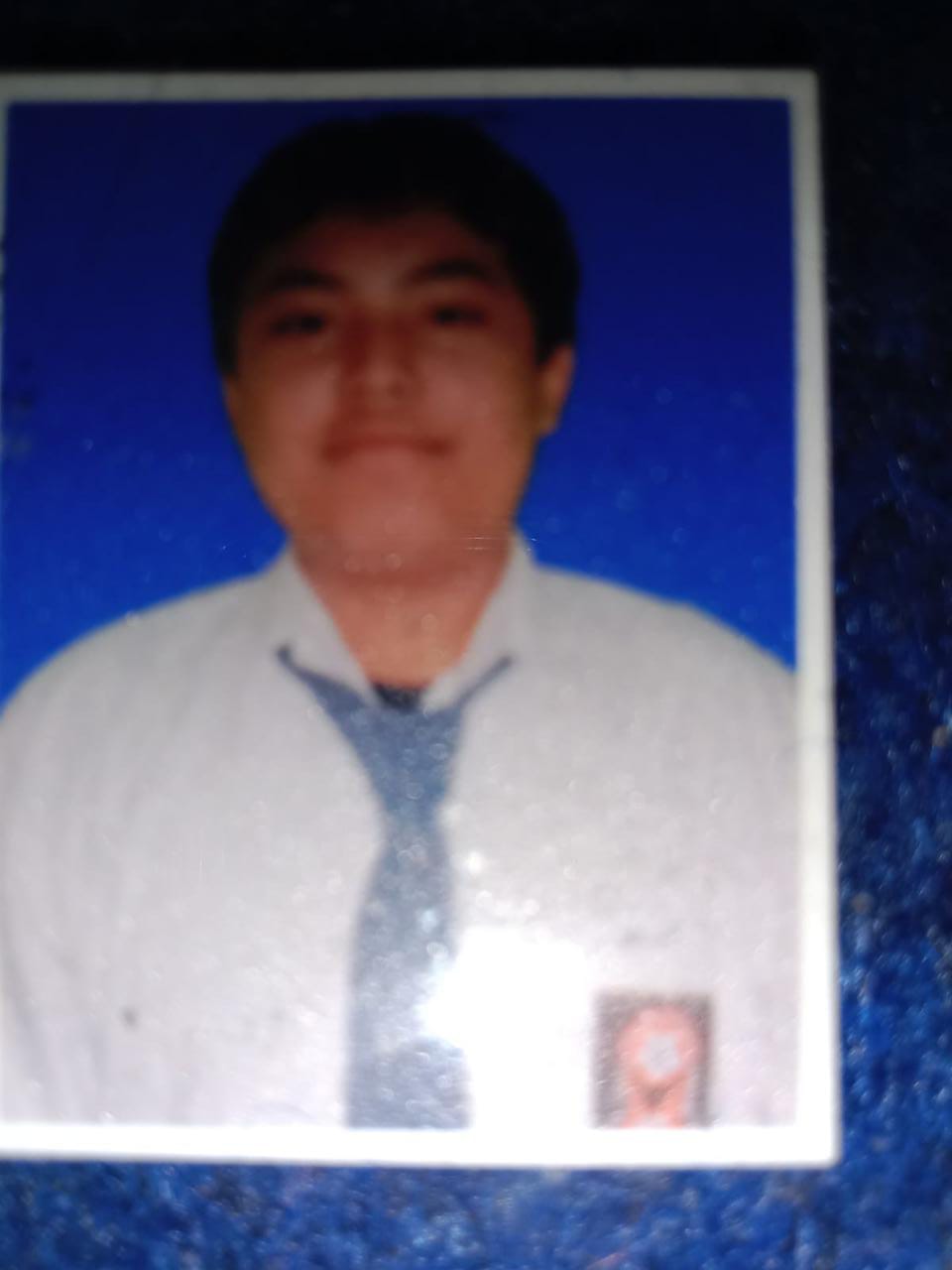 M. Alfin Rey Nasution