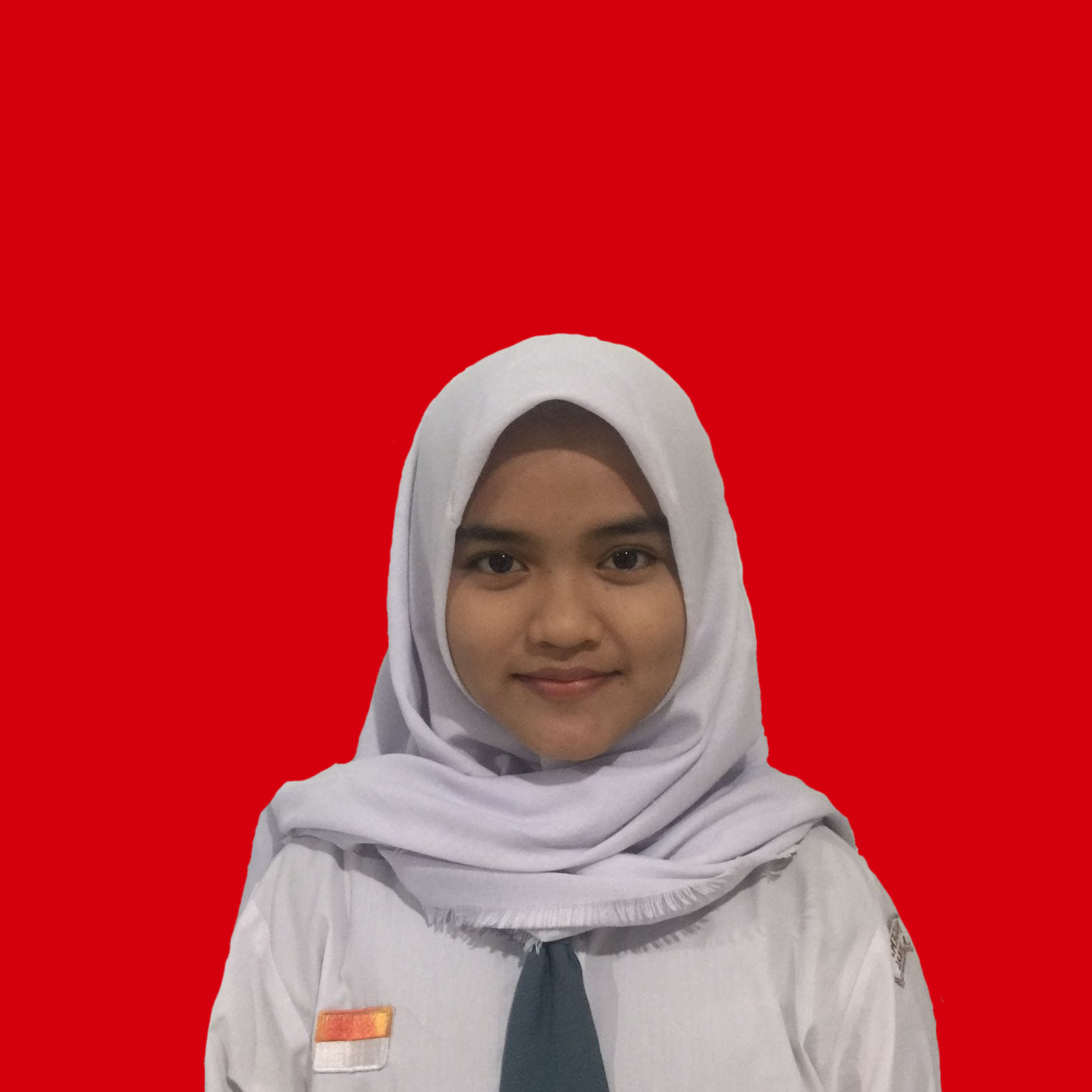 Ulfah Napisa Sopiyanti