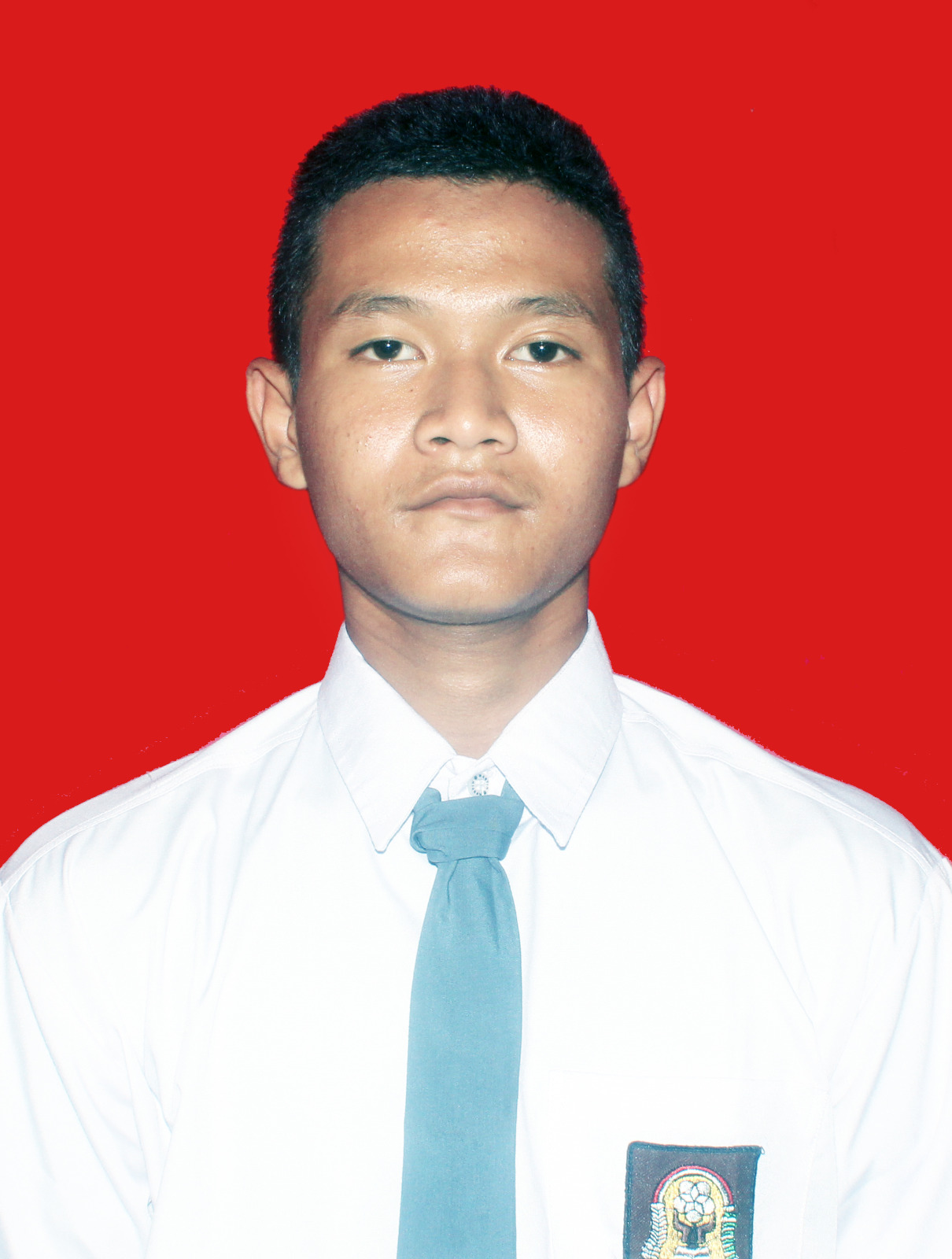 M. Ainur Rafik