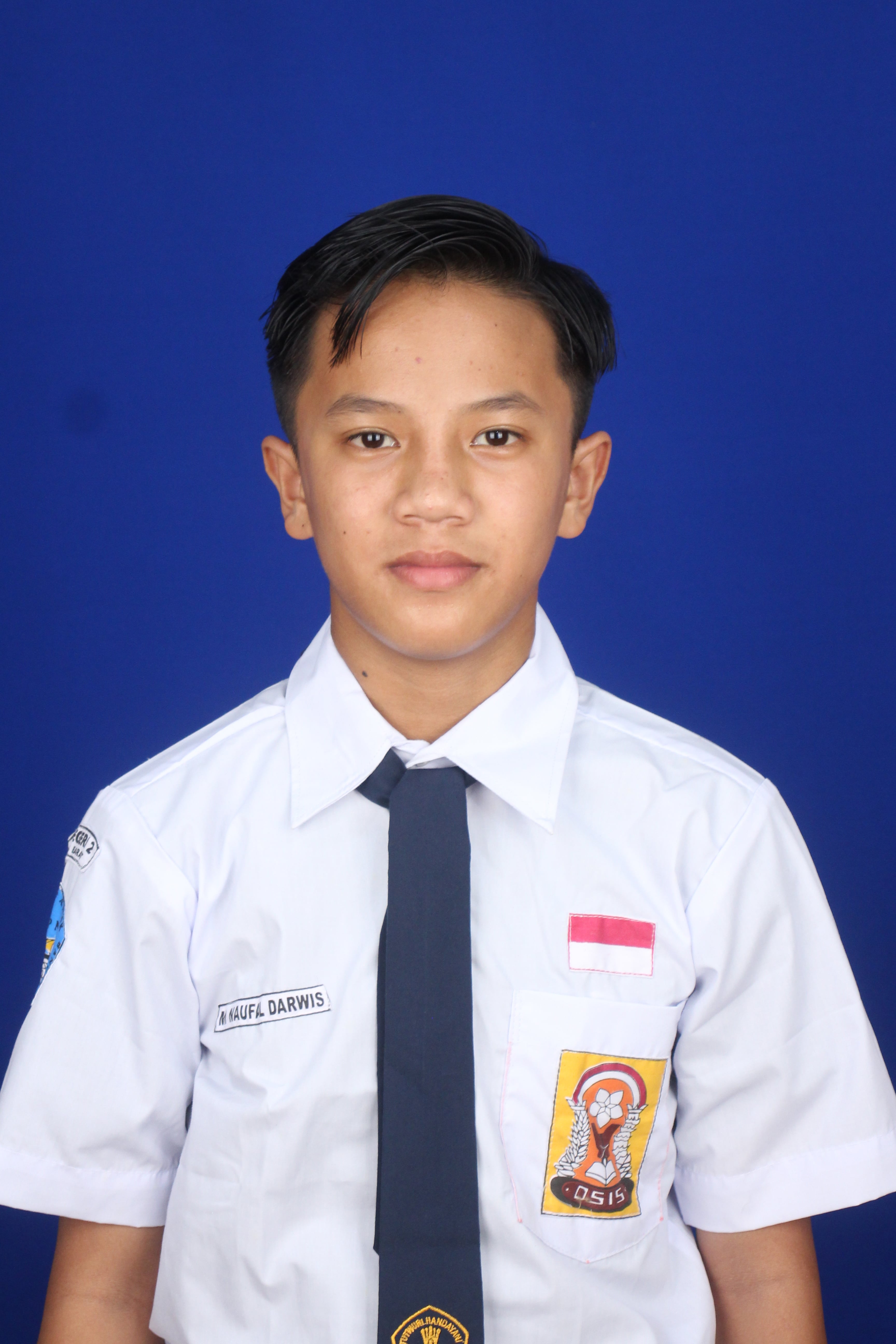 M. Naufal Darwis