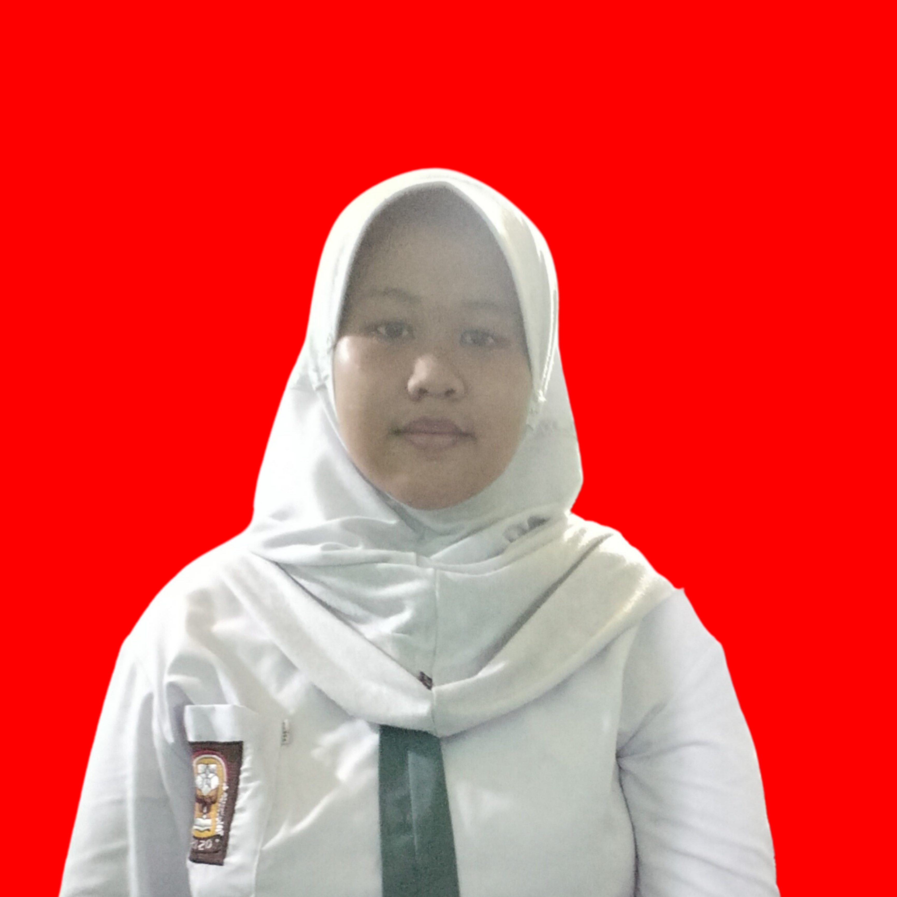 Najwa Azzahra Bulqis