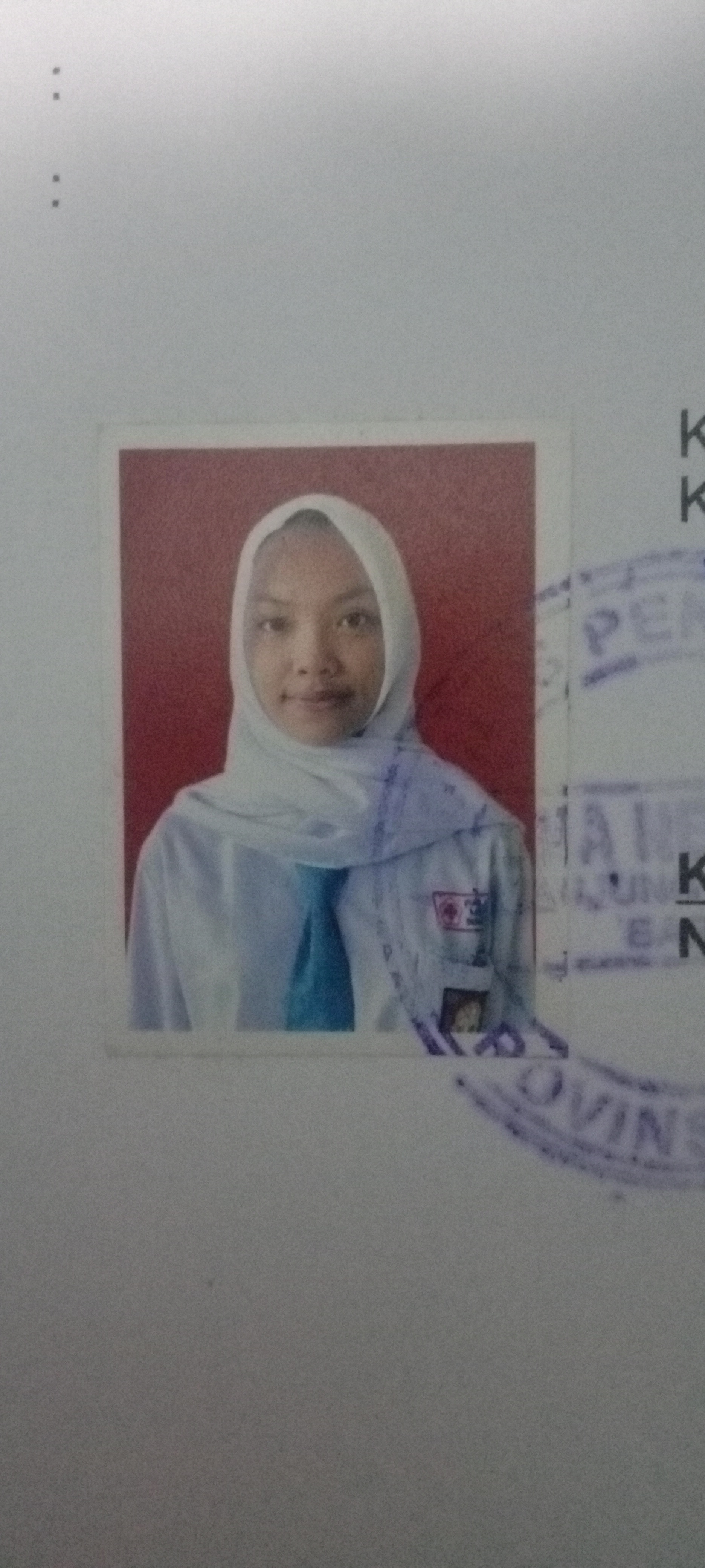 Rizki Nurul Aulia Putri