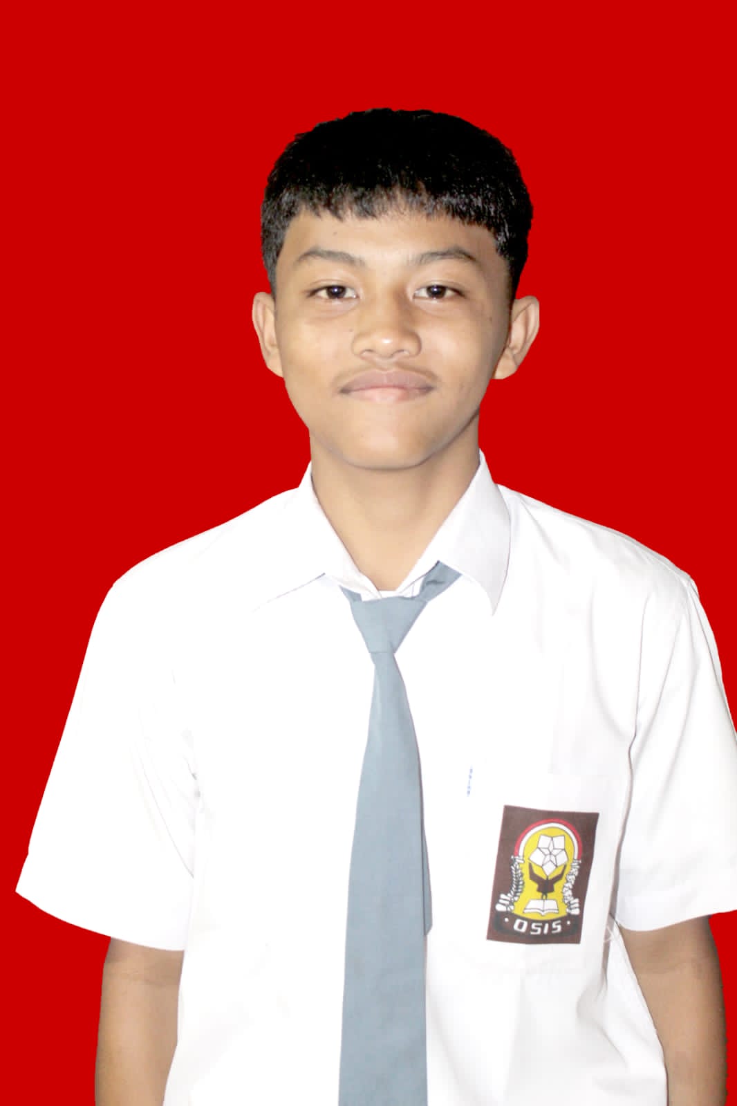 M. Rayhan Jatmiko
