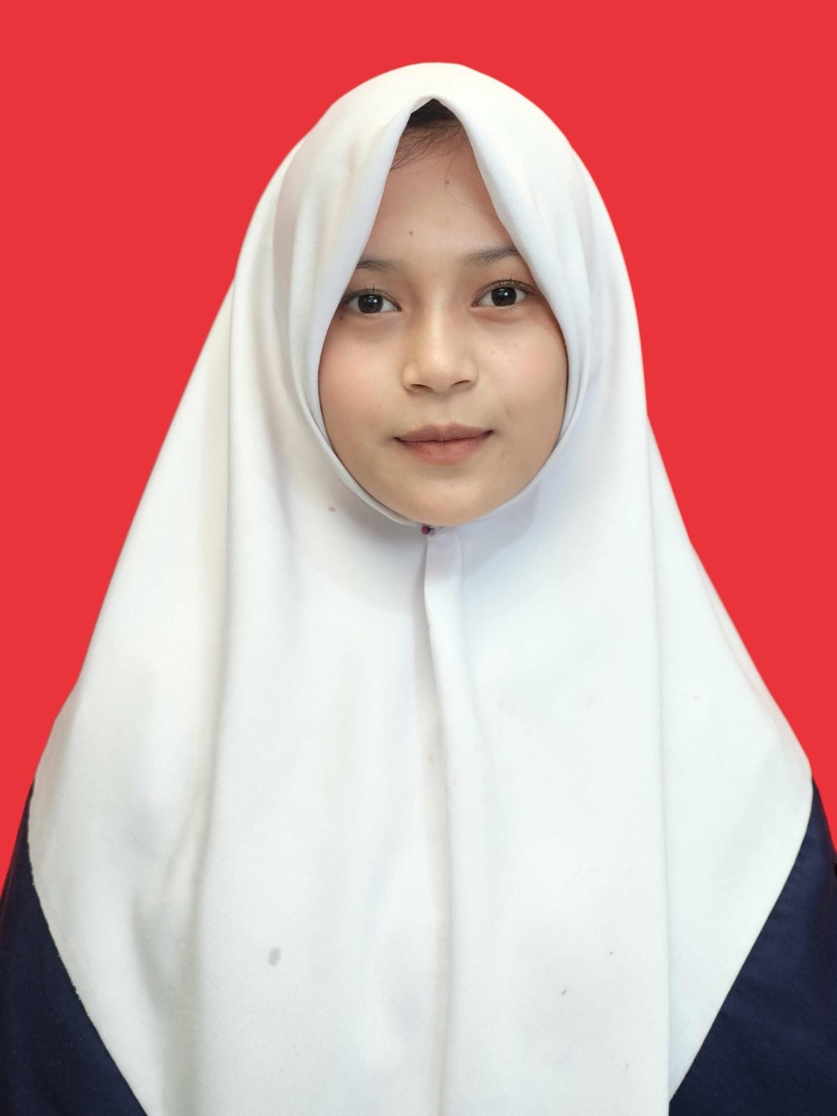 AGNES AULIA