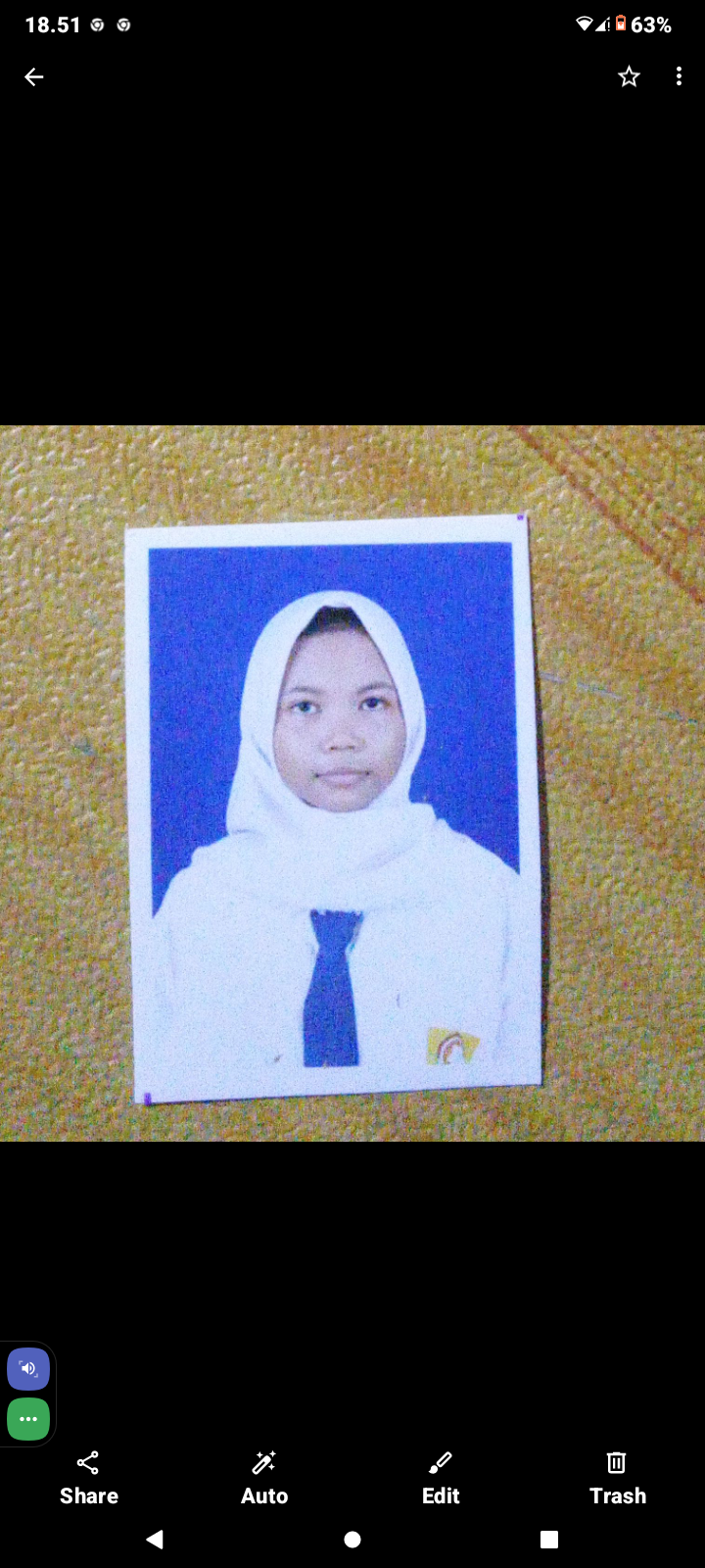 HALIMATUS SAKDIYAH
