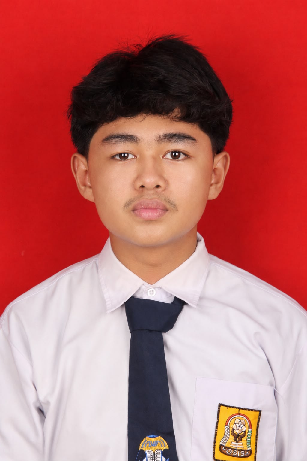 M. ALFI WIRDAS