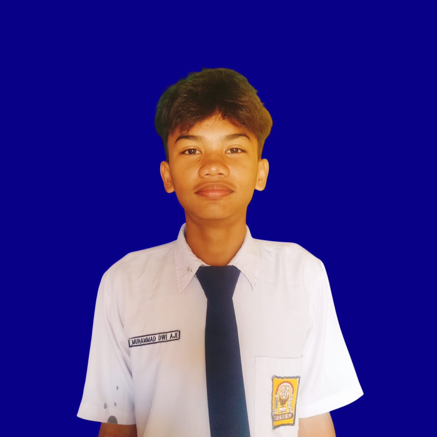 MUHAMMAD DWI AJI