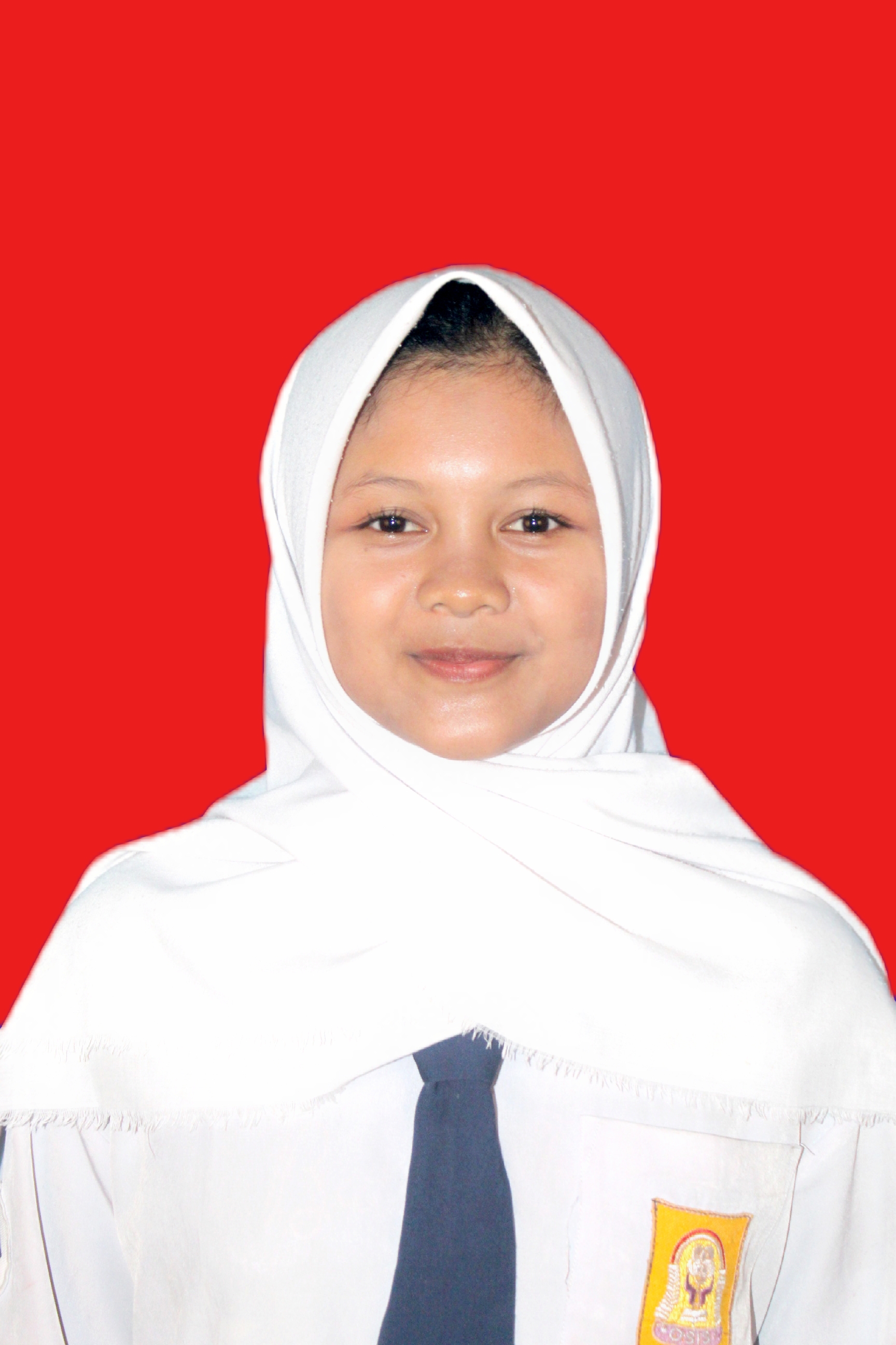 DESVITA NUR AINI